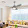 Aaronjames Ceiling Fan with Light Kit