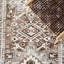 Tapis oriental brun / ivoire Ferrill-716857154