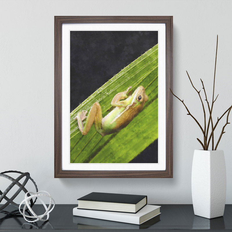 Frog Vol.1 - Framed Print, Walnut Framed, 65cm H x 48cm W x 2cm D