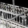 Acob 3 - Light Crystal Linear Pendant with Wrought Iron