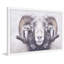 Parvez Taj - Single Picture Frame Print-19701531