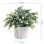 24.89 Cm Faux Eucalyptus Plant in Pot