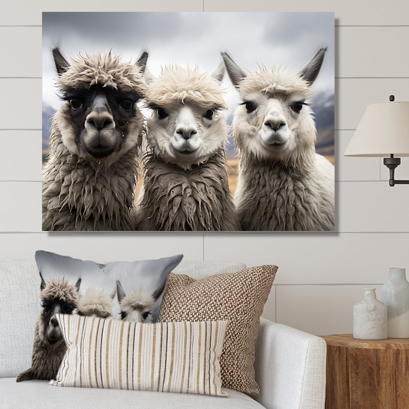 Alpacas, photographie de paysage monochrome encadrée sur toile, H 24 po x l 32 po x P 1 po, Toile tendue