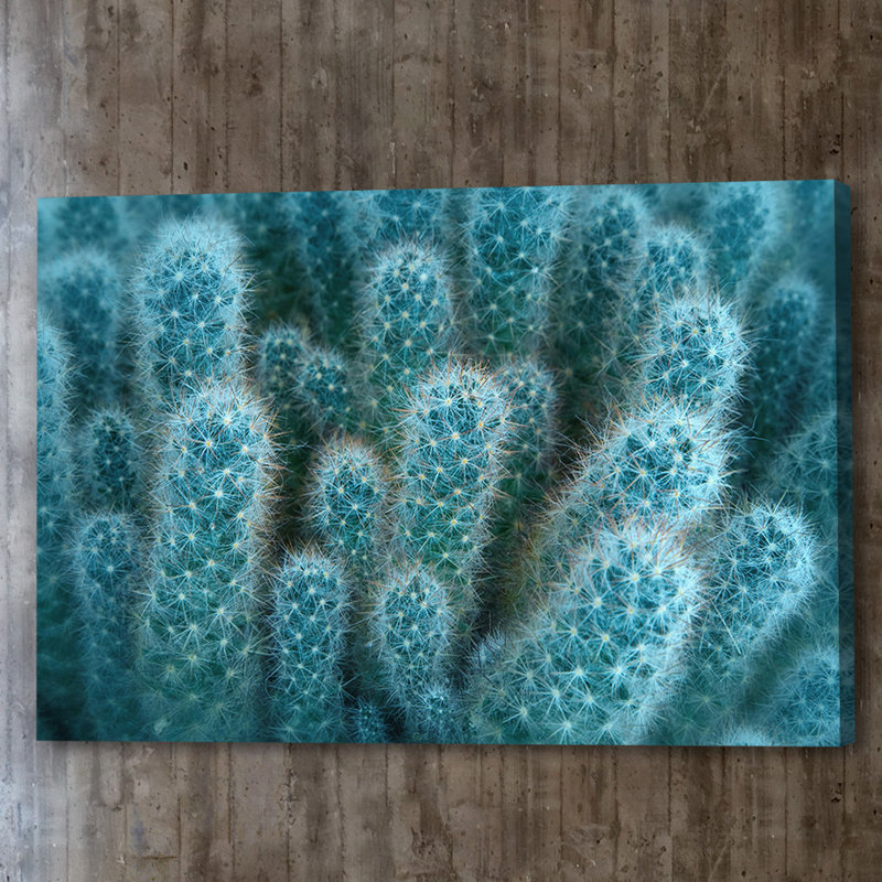 « molle blue épiphytes », reproduction d’art sur toile tendue, H 12 po x l 18 po x P 1,5 po