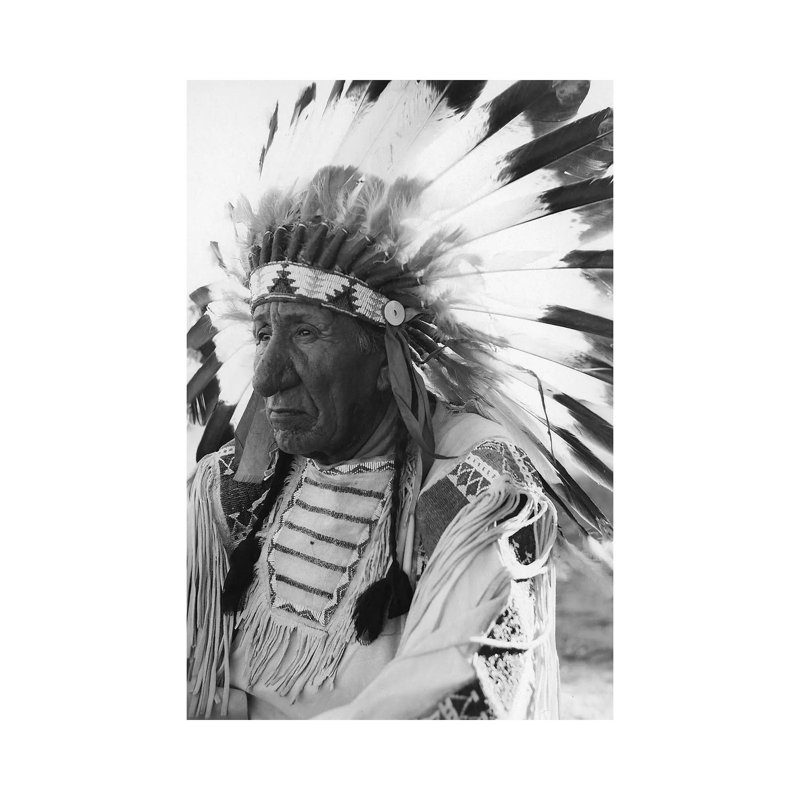 Portrait Of Chief Red Cloud In Headdress by Stocktrek Images - Wrapped Canvas Print