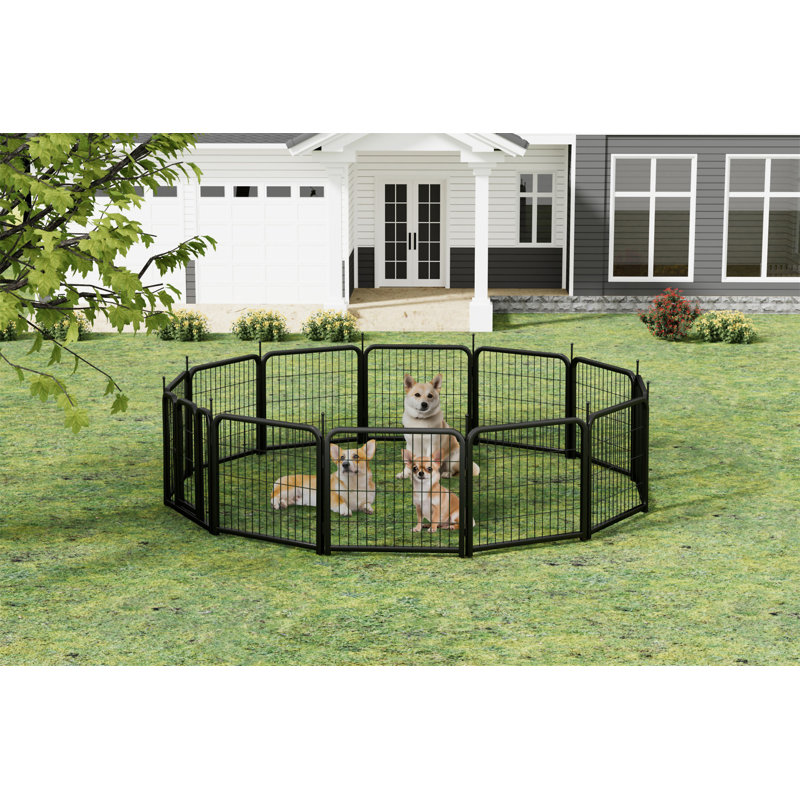 Parc pour chien extérieur