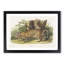 Jaguar by J.W. Audubon - Framed Print-55576105-55576110