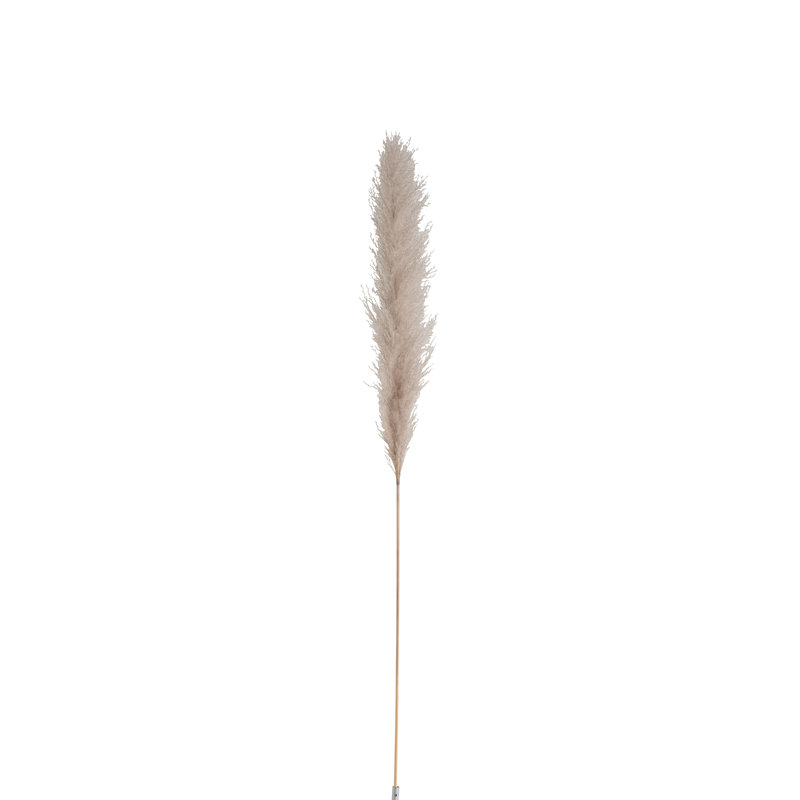 Faux Pampas Grass Plant, 137cm H x 5cm W x 3cm D