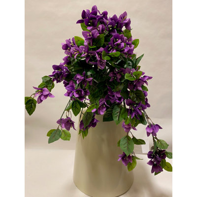 Bouginvillia, arrangement floral dans un vase