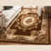 Fiecke Medallion Oriental Area Rug