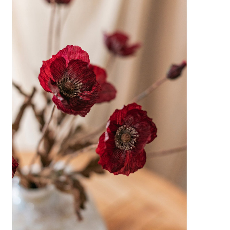 Tiges de coquelicot, 5 tiges, Rouge