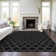  Chayden Area Rug with Non-Slip Backing