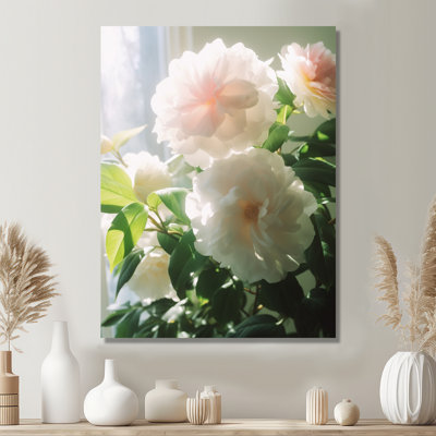 Floraison de fleurs de camélia blanc après-midi soleil - Camélia Wall Art Living Room