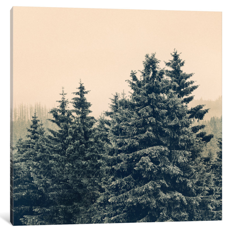 " Strange Days " by Tordis Kayma, No Mat, Black Floater Framed Canvas, 18" H x 18" W x 1.5" D