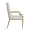 Eave Sundrenched Upholstered Arm Chair