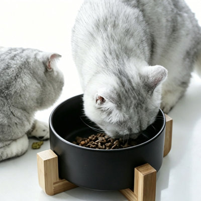 Anti-Tip Ceramic Pet Food Water Bowl with Stand for Dogs Cats
