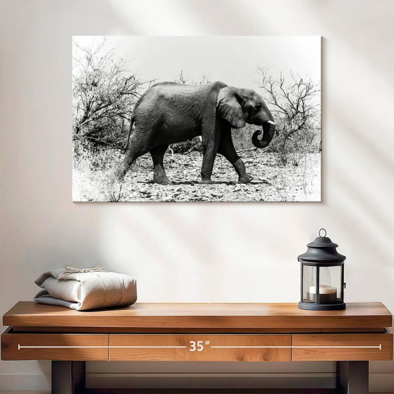 Éléphant d'Afrique Brampt au Botswana, H 16 po x l 24 po