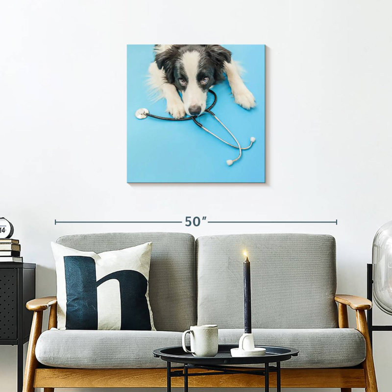 Brampt Dog Doctor, H 24 po x l 24 po