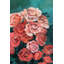 Wrapped Canvas Painting-34311721
