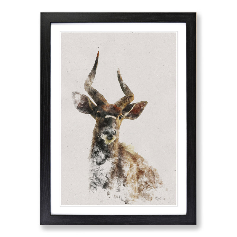 A Curious Antelope Watercolour - Picture Frame Graphic Art, 36cm H x 27cm W x 2cm D, Black