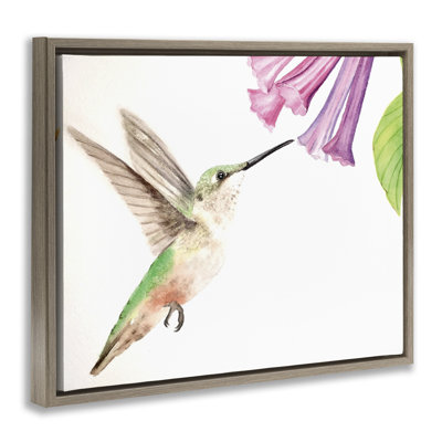 Cadre flottant colibri et jacinthe des bois, design par Stephanie Fielden