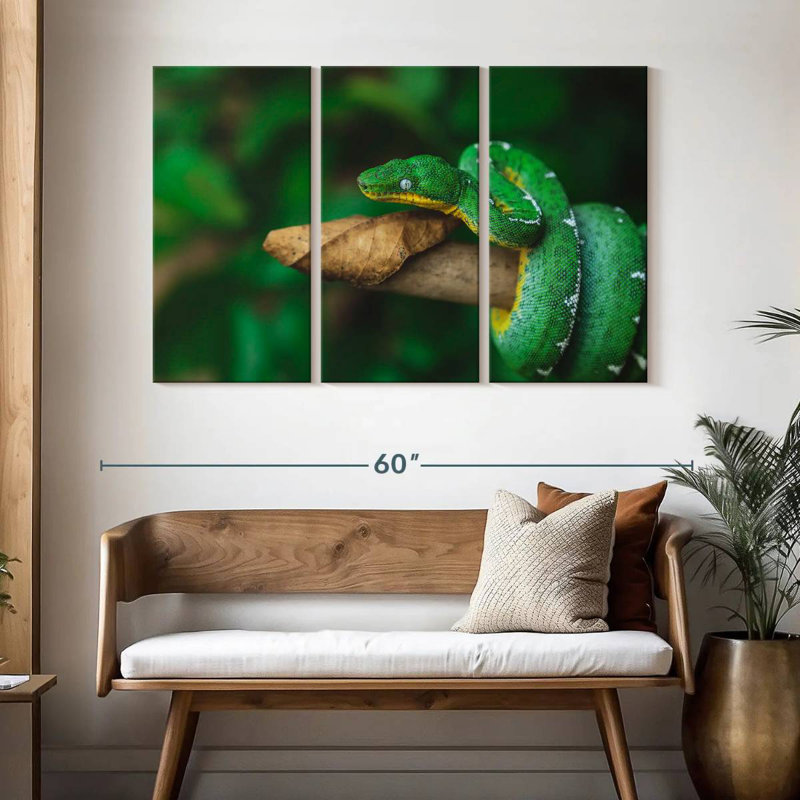 Emerald Tree Snake, 32" H x 50" W