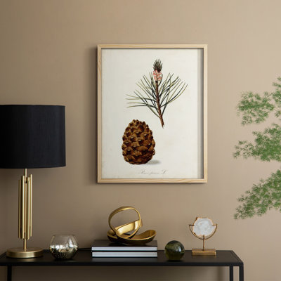 Étude d'arbre antique V, reproduction encadrée - bois massif
