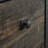 Lateral File, Brown finish