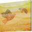 Parvez Taj - Wrapped Canvas Print-12309546