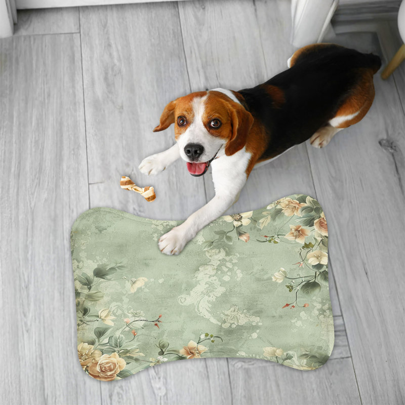 Matelas d'alimentation en os 1 pièce