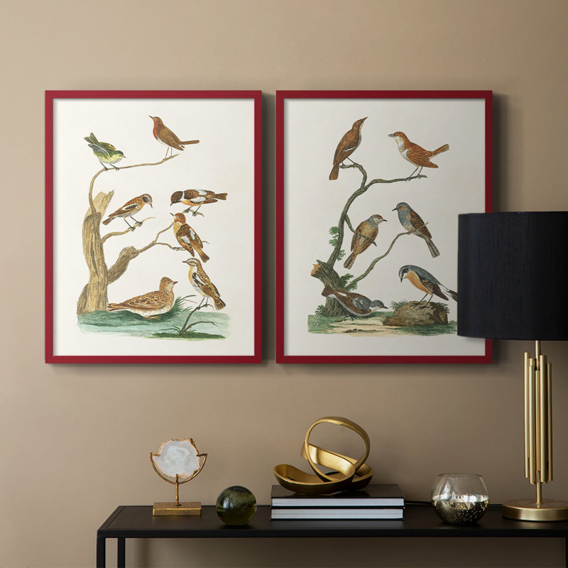 Oiseaux antiques dans la nature III - reproduction encadrée de qualité supérieure - prête à être accrochée - aucun clou requis - aucun clou requis