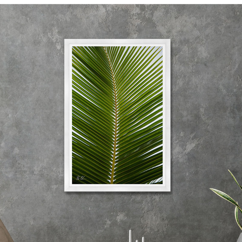 Palmier tropical, H 54,75 po x l 37,5 po x P 1,5 po, Lustre photo encadré, Cadre blanc