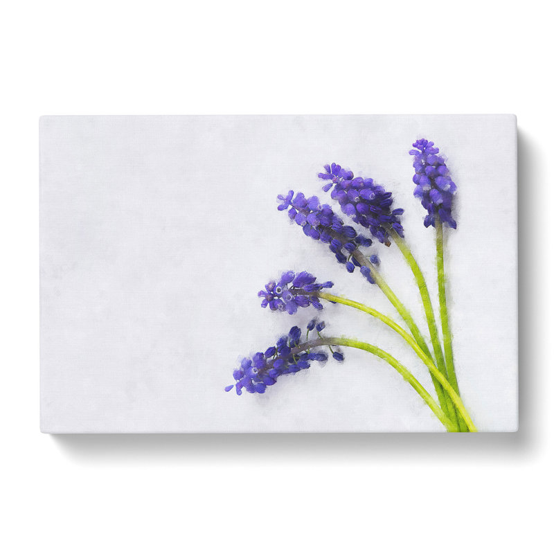 Grape Hyacinth Flower Painting - Wrapped Canvas, 35cm H x 50cm W x 3cm D