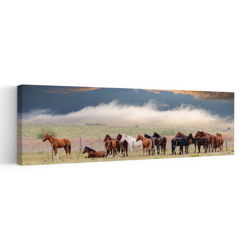 Horses Under Dramatic Sky by Chechi Peinado - Wrapped Canvas Panoramic Print, 40.64 cm H x 121.92 cm W