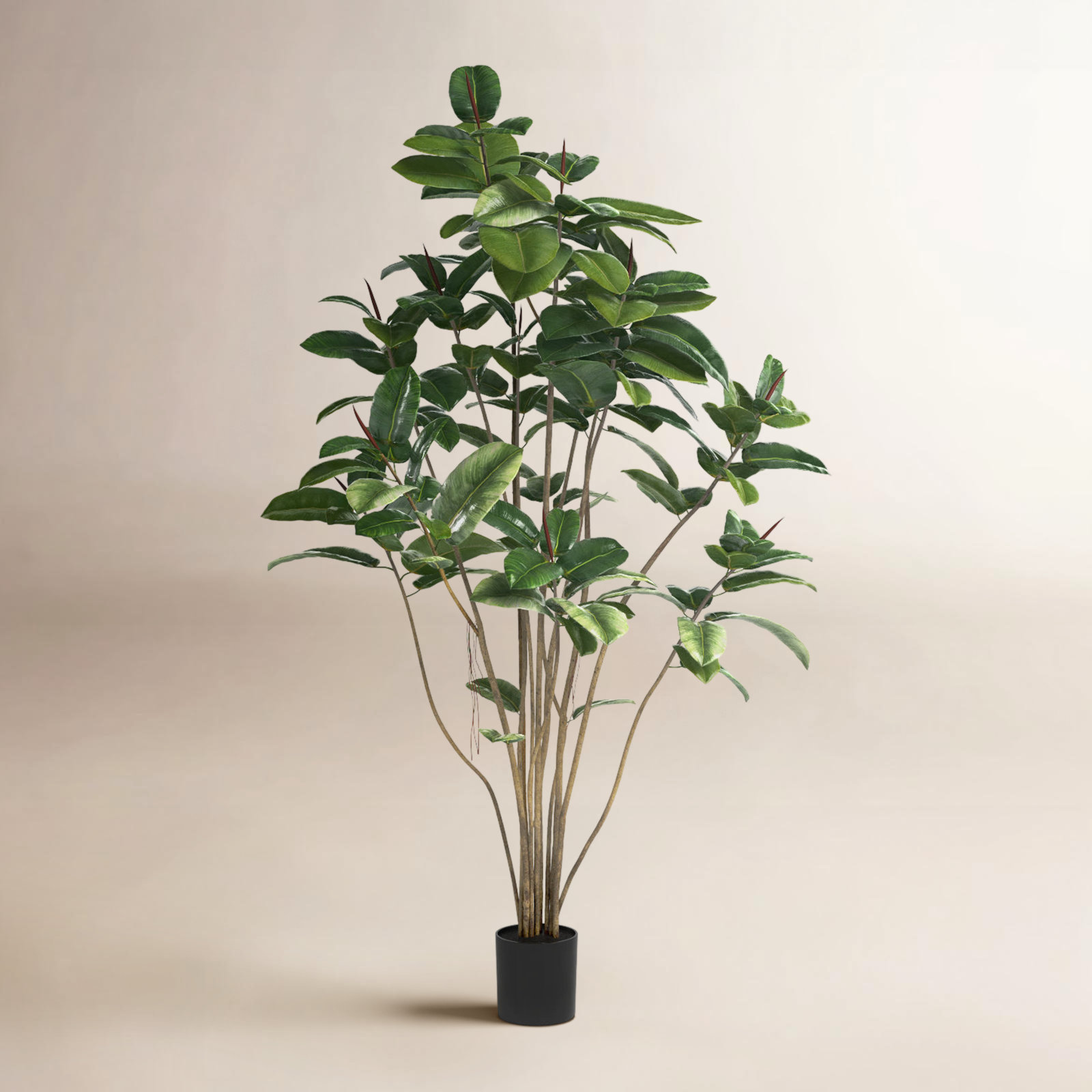 Solerno Rubber Tree with Base, 60" H x 34" W x 34" D