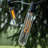 Edison String Lights Outdoor 100 - Bulb 100'' Plug-in String Light