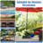 34.7468 Lb. Steel Free Standing Umbrella Base