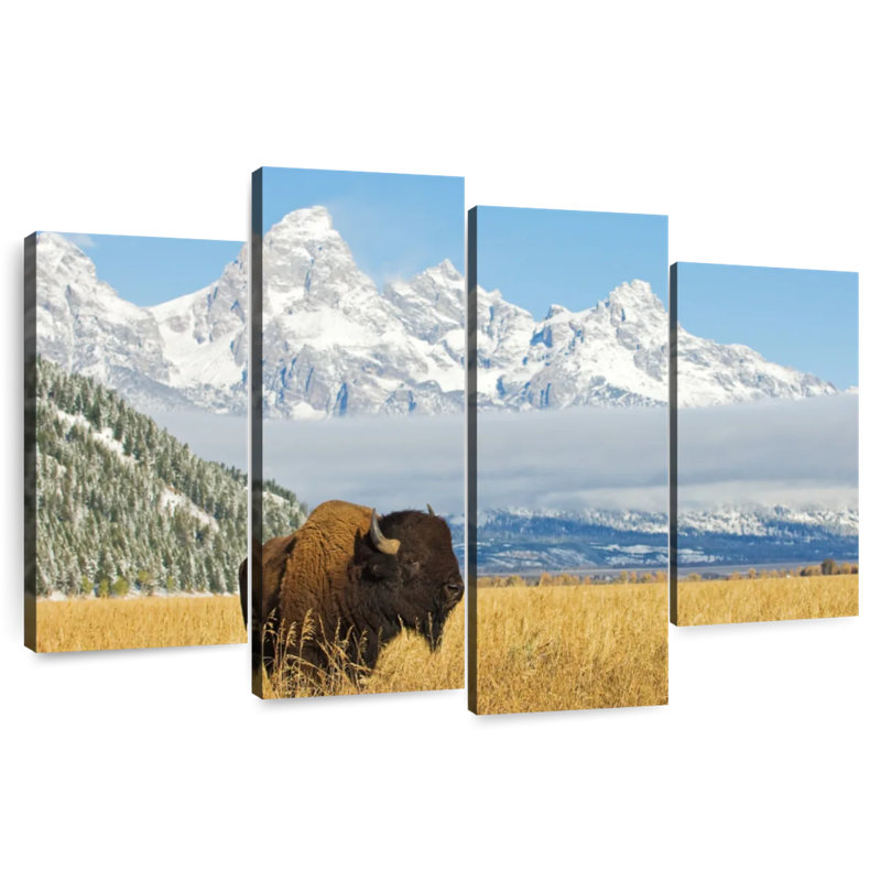 Grand Teton Bison Bull, 54" H x 84" W
