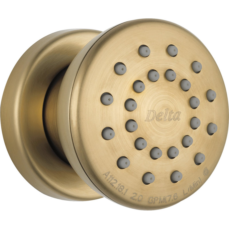 Jet pour le corps entièrement réglable avec TouchClean, Bronze champagne lustré