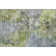 Premium Machine Washable Prisco Olive Rug