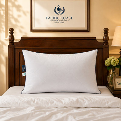 Pacific Coast Premium Goose Feather & Down Bed Pillows, Standard set of 1