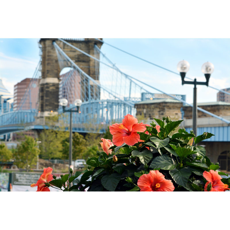Cincinnati Scène - Photographie sur toile tendue, H 12 po x l 18 po