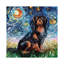Cavalier King Charles Spaniel Night by Aja Trier - Wrapped Canvas Painting-1243065275