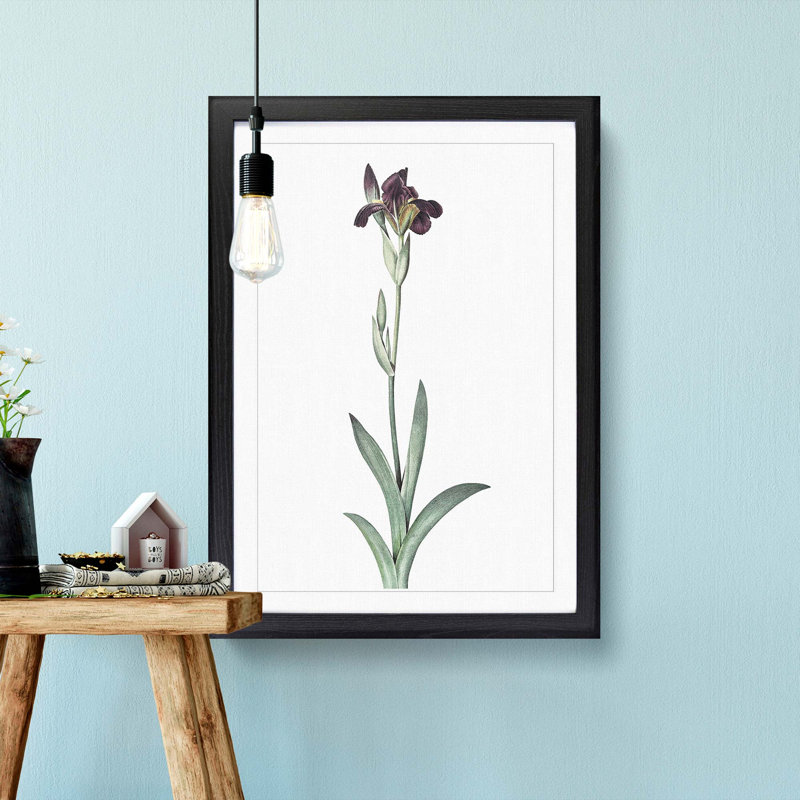 Flag Iris Flower by Pierre-Joseph Redoute - Picture Frame Art Print, Black Framed, 65cm H x 48cm W x 2cm D