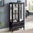 Lighted Curio Cabinet With Glass Doors And Adjustable Shelves