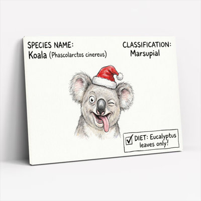 Ensemble de 1 tableau sur toile thématique de Noël représentant un koala avec une tuque de Père Noël