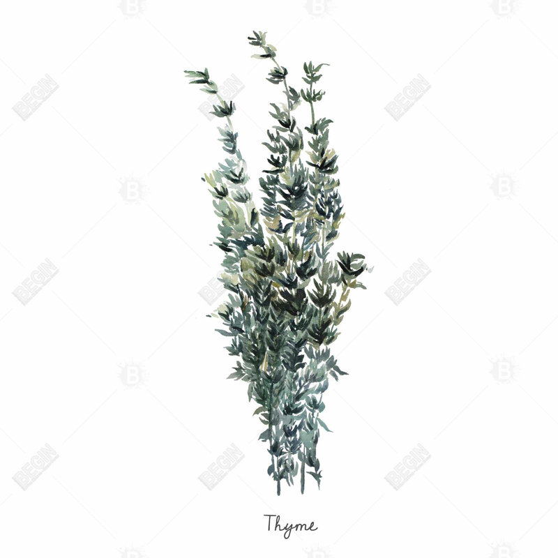 Thyme leaves bundle - en - 20"x20" Throw pillow - Poly twill - Print on demand, 20'' x 20''