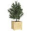 Alasiah Wood Planter Box-1696373206-1696373215