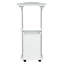 Techni Mobili Sit-to-Stand Rolling Adjustable Laptop Cart With Storage
