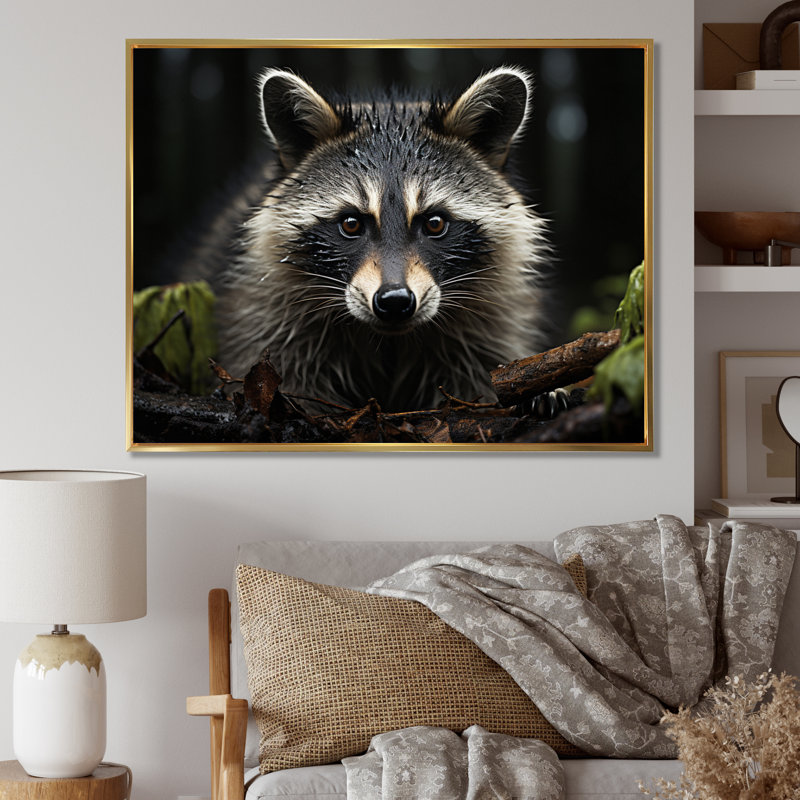 Curious Raccoon II sur impression sur toile, Cadre flottant doré, H 12 po x l 20 po x P 1 po